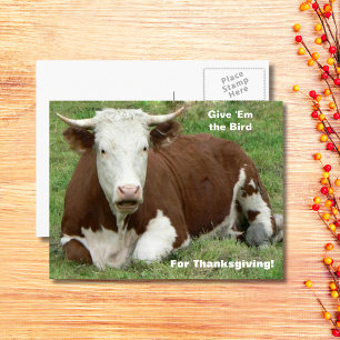 Geef 'Em de vogel voor Thanksgiving Feestdagenkaart