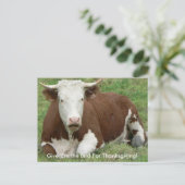 Geef 'Em de vogel voor Thanksgiving Koe Briefkaart (Staand voorkant)