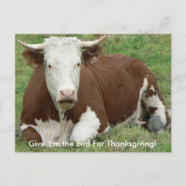 Geef 'Em de vogel voor Thanksgiving Koe Briefkaart