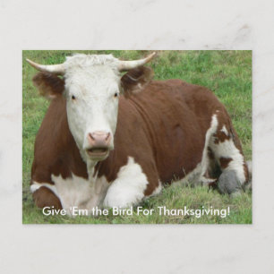 Geef 'Em de vogel voor Thanksgiving Koe Briefkaart