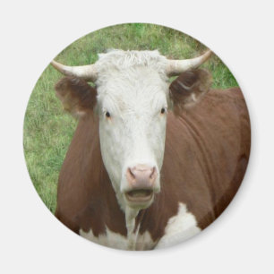 Geef 'Em de vogel voor Thanksgiving Magneet