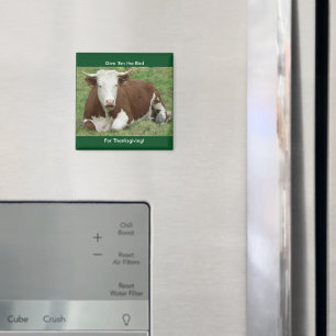 Geef 'Em the Bird for Thanksgiving Magnet' Magneet