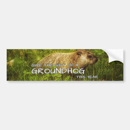 Geef het cadeau van een Groundhog dit jaar sticker (Voorkant)