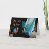 Geef het geschenk van het leven, geef een bed ...  feestdagen kaart (Voorkant)