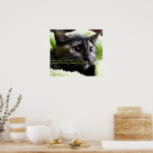 Geef je kat door poster (Keuken)
