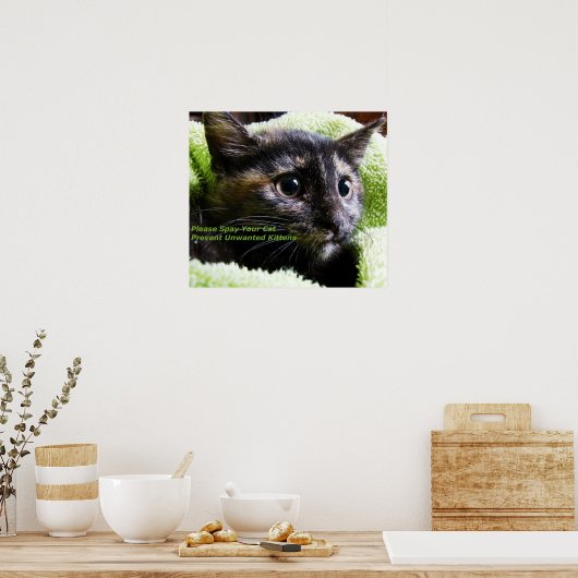 Geef je kat door poster (Keuken)