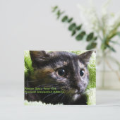Geef je kat door zodat je geen ongewenste Kittens  Briefkaart (Staand voorkant)