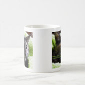 Geef je kat door zodat je geen ongewenste Kittens Koffiemok (Center)