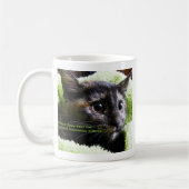 Geef je kat door zodat je geen ongewenste Kittens Koffiemok (Links)
