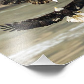 Geef me die vis. (Eagle Chase) Foto Afdruk (Hoek)