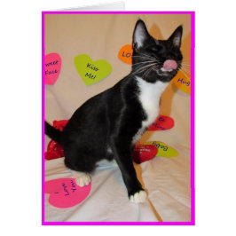 Geef me een grote kus - Kat Valentijnsdag Kaart