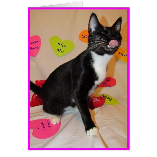 Geef me een grote kus - Kat Valentijnsdag Kaart (Voorkant)
