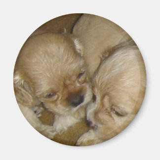 Geef me een kus magneet