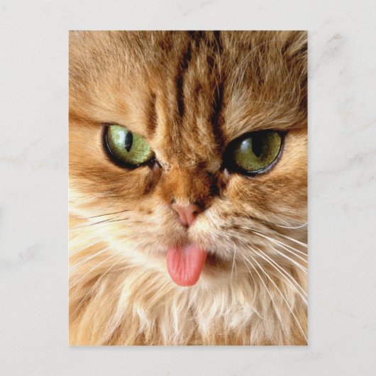 Geef me een lepel. briefkaart (Voorkant)