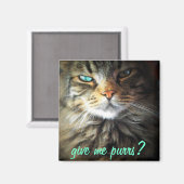 Geef me een schooier? magneet (Voorkant / Achterkant)