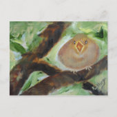 Geef me het voer! briefkaart (Voorkant)