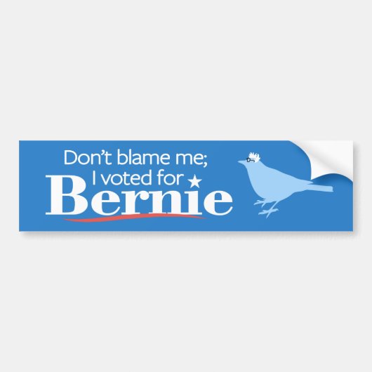 Geef me niet de schuld. Ik heb voor Bernie gestemd Bumpersticker (Voorkant)