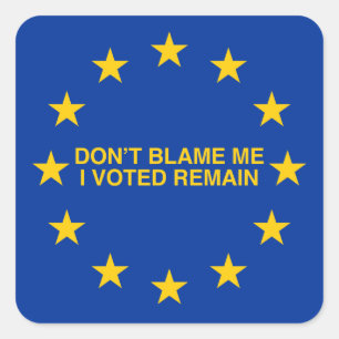 Geef me niet de schuld, ik heb voor Remain gestemd Vierkante Sticker