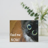 Geef me NU! Briefkaart (Staand voorkant)