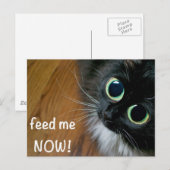 Geef me NU! Briefkaart (Voorkant / Achterkant)