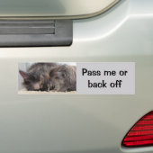 Geef me of ga terug van de auto bumpersticker (Op auto)