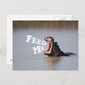 Geef me te eten! Funny Hippo Briefkaart (Voorkant / Achterkant)