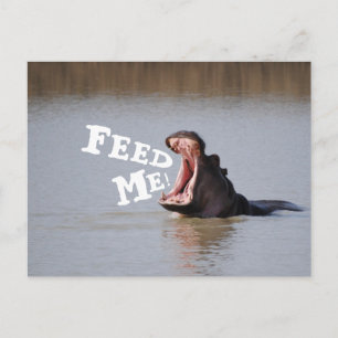 Geef me te eten! Funny Hippo Briefkaart