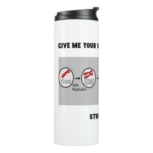 Geef me uw onverdeelde aandacht onderzoek Mitose Thermosbeker (Gedraaid links)