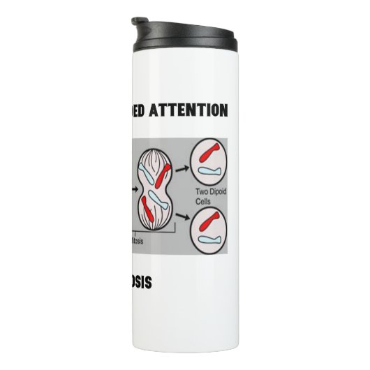 Geef me uw onverdeelde aandacht onderzoek Mitose Thermosbeker (Geroteerd rechts)