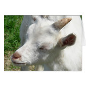 Geef me wat schaduwen (Voorkant Horizontaal)