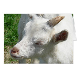 Geef me wat schaduwen