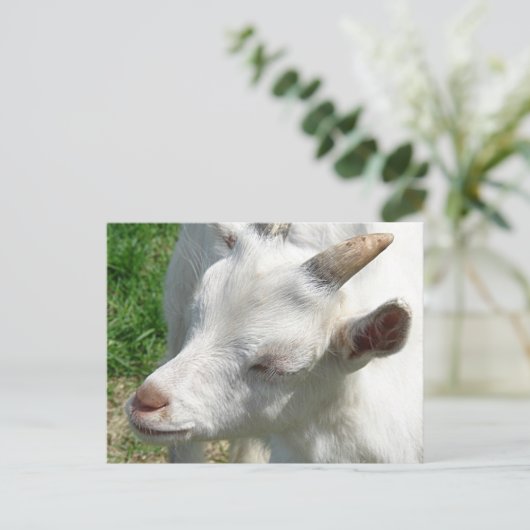 Geef me wat schaduwen briefkaart (Staand voorkant)