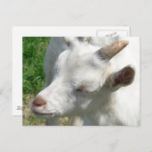 Geef me wat schaduwen briefkaart (Voorkant / Achterkant)