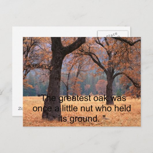 Geef niet op briefkaart (Voorkant / Achterkant)