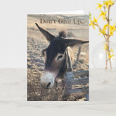 Geef niet op. Motivatie Kaart (Gele Bloem)