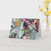 Geef nooit het Wenskaart van een blanco vlinder op Kaart (Gele Bloem)