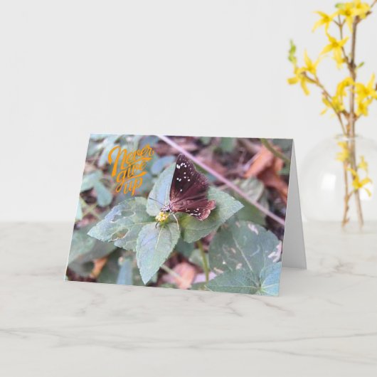 Geef nooit het Wenskaart van een blanco vlinder op Kaart (Gele Bloem)