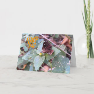 Geef nooit het Wenskaart van een blanco vlinder op Kaart