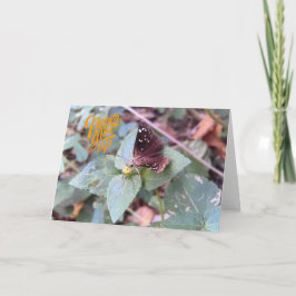 Geef nooit het Wenskaart van een blanco vlinder op Kaart