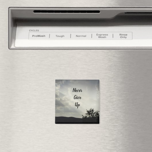 Geef nooit licht door wolken fotozonlicht op magneet (Insitu (Vaatwasser))