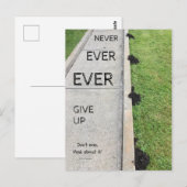 Geef Nooit Op. Briefkaart (Voorkant / Achterkant)