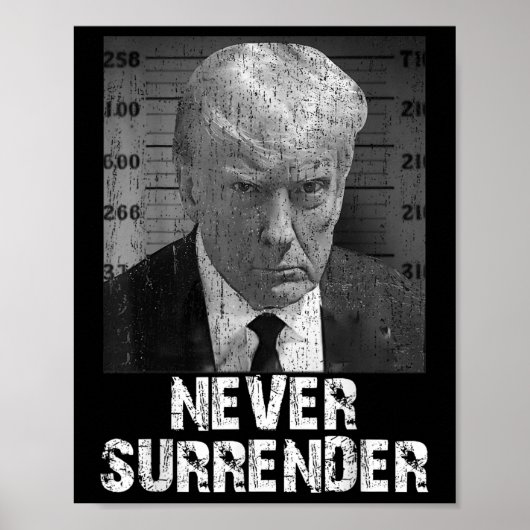 Geef nooit Pro Trump over Poster (Voorkant)