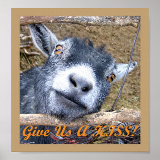 Geef ons een kus! poster