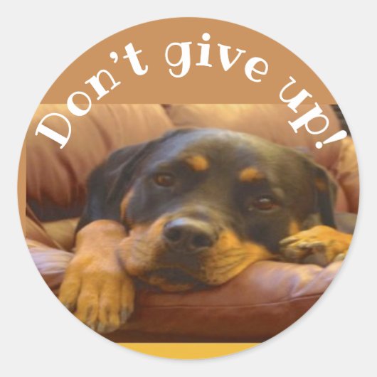 Geef Rottweiler-aanmoediging niet op Ronde Sticker (Voorkant)