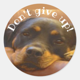 Geef Rottweiler Classic ronde Sticker niet op