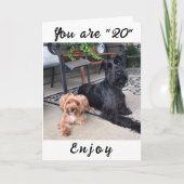 **GEEF UW **20th** BIRTHDAY!!!!* BIRTHDAY-Kaart Kaart (Voorkant)