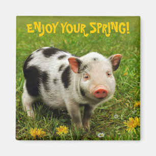 GEEF UW SPRING AAN! MAGNEET