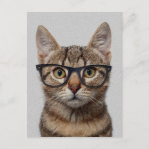 Geek Cat Briefkaart
