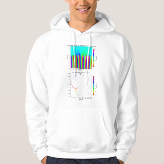 Geek Chic Hoodie - De schoonheid van Zeta Functies (Voorkant)