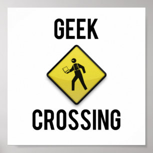 Geek Crossing Poster